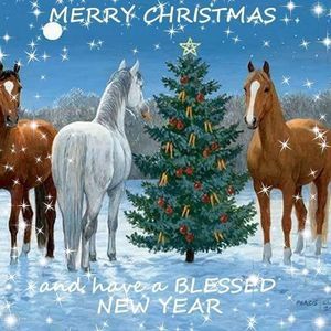 Meet your Posher, Vickie